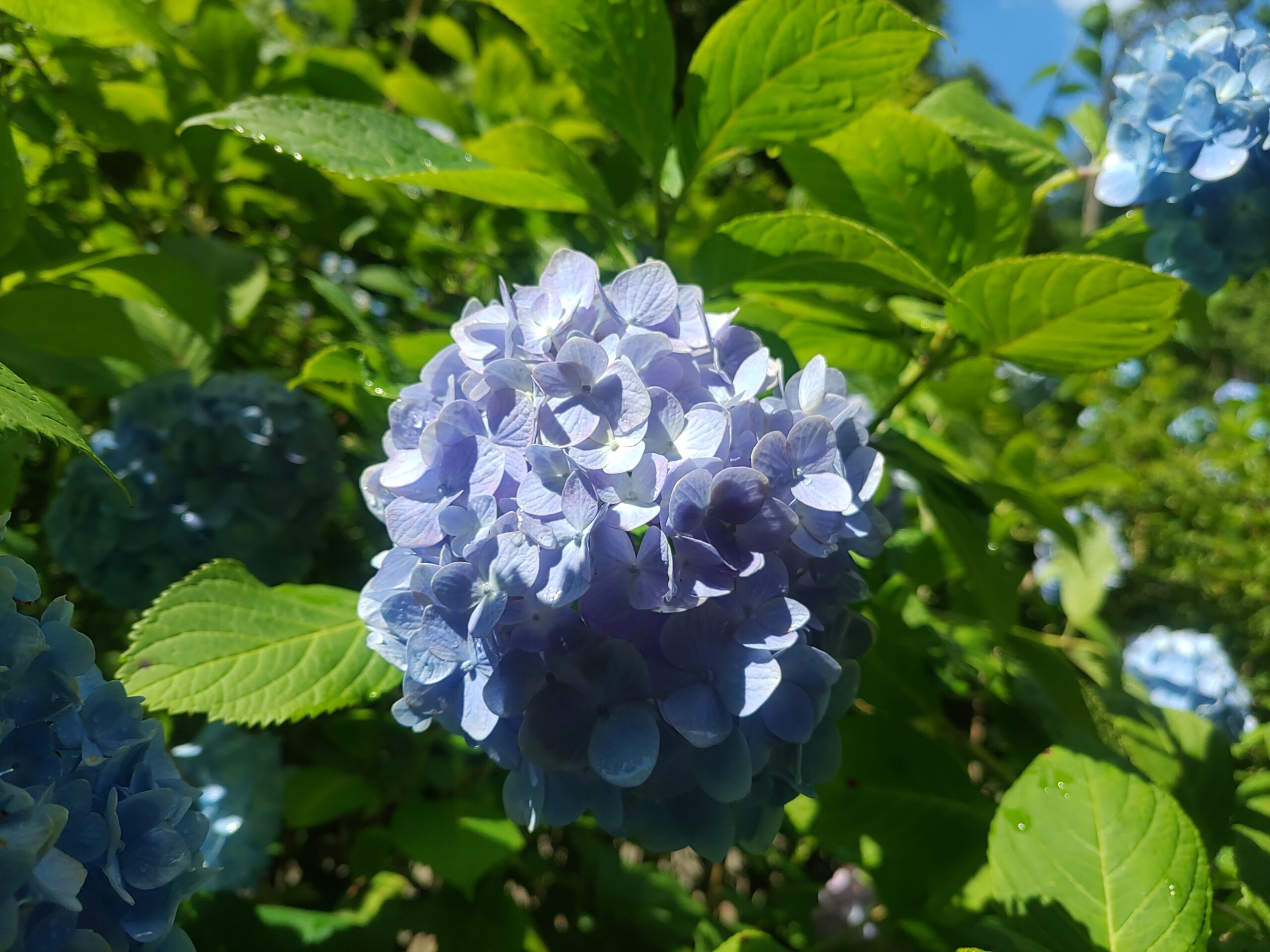 新たな年の始まりです。