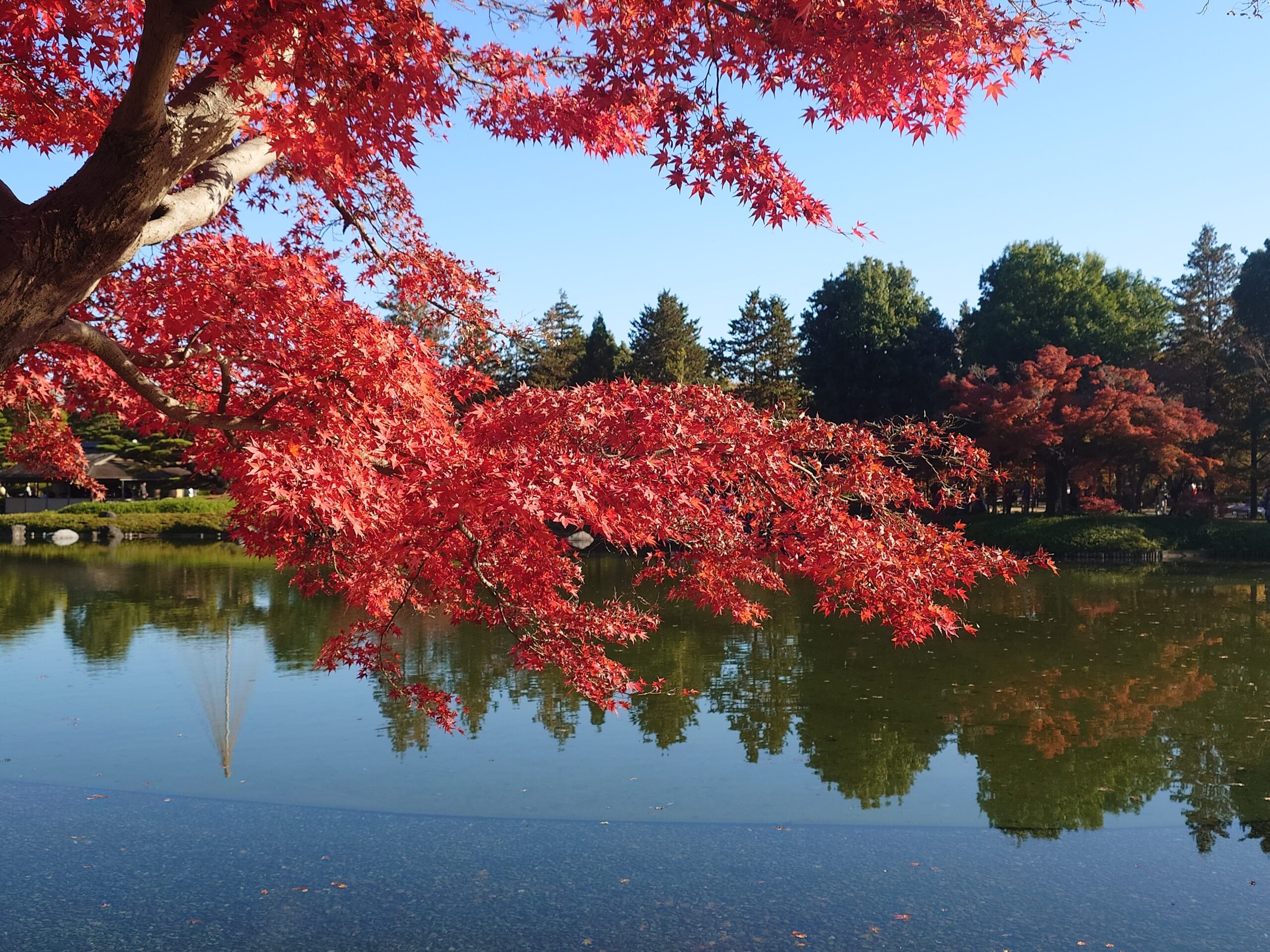 新たな年の始まりです。